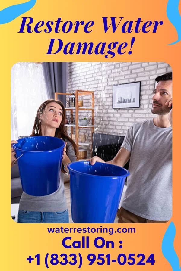 water restoration Disaster Recovery Brothers Forsgate