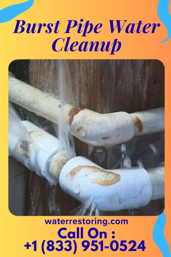Burst Pipe Water Cleanup in Forsgate, NJ