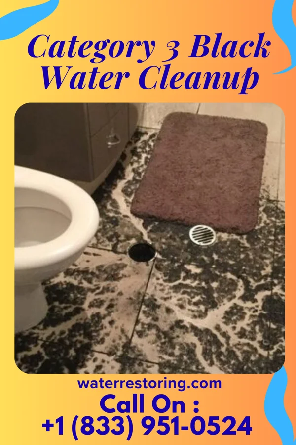 Category 3 Black Water Cleanup in Forsgate, NJ