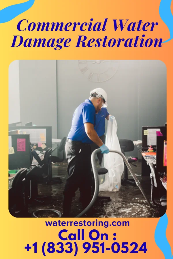 Commercial Water Damage Restoration in Forsgate, NJ