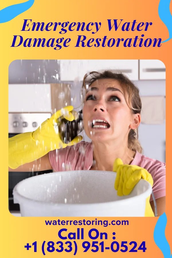 Emergency Water Damage Restoration in Forsgate, NJ