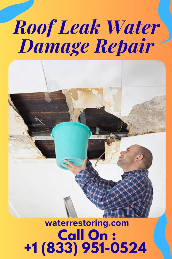 Roof Leak Water Damage Repair in Forsgate, NJ