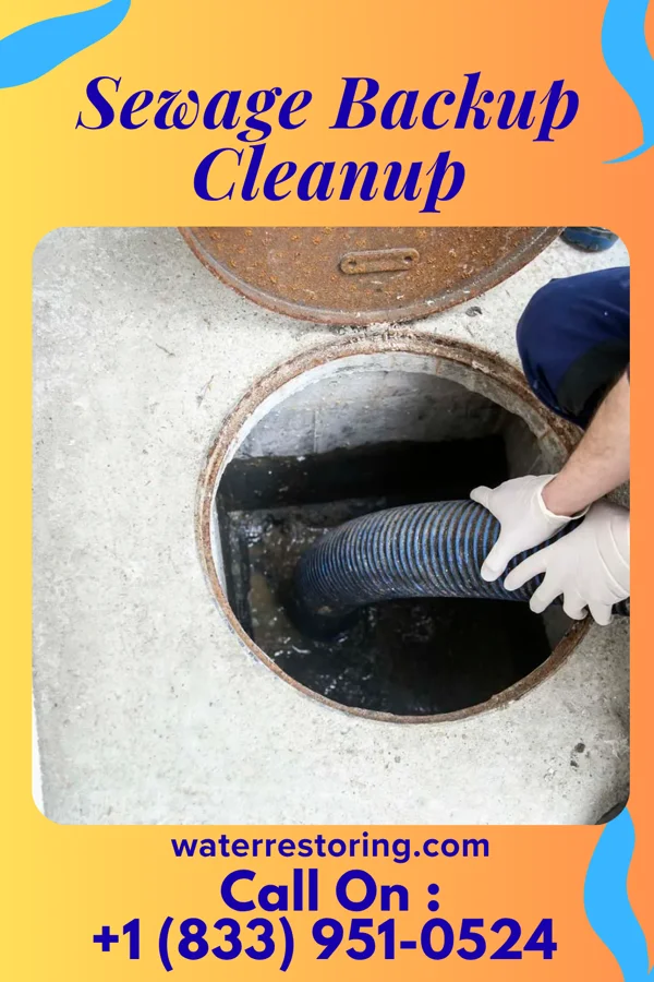 Sewage Backup Cleanup in Forsgate, NJ