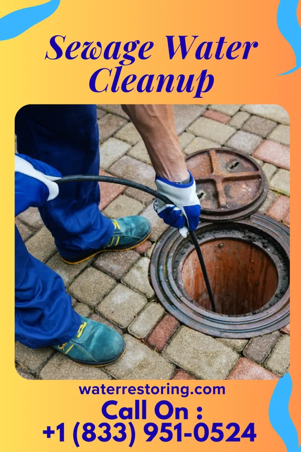Sewage Water Cleanup in Forsgate, NJ