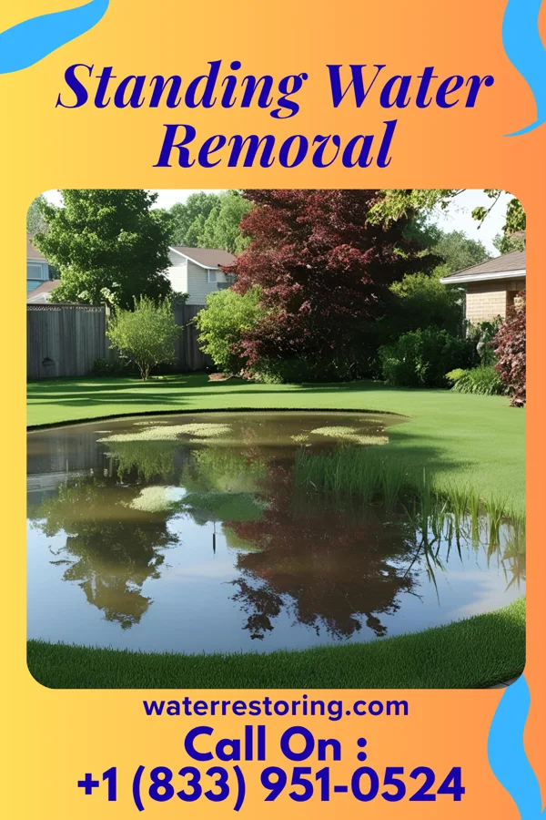 Standing Water Removal in Forsgate, NJ